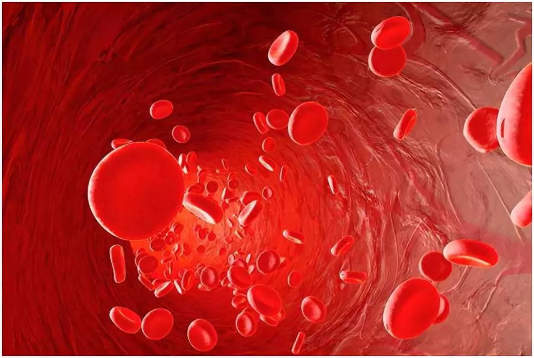 大动脉炎需要补硒吗（人需要终身补硒吗）-硒宝网