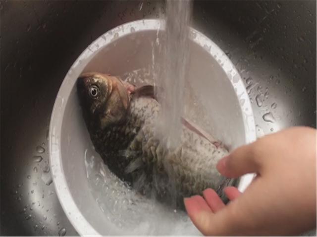 鲫鱼补钙吗（鲫鱼补钙汤的做法）-硒宝网