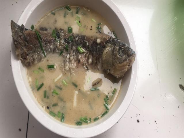 鲫鱼补钙吗（鲫鱼补钙汤的做法）-硒宝网