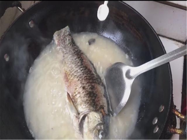 鲫鱼补钙吗（鲫鱼补钙汤的做法）-硒宝网