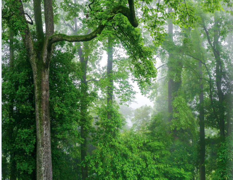 补硒能治新脑血管?。ㄑ匝懿〕陨兑?硒宝网