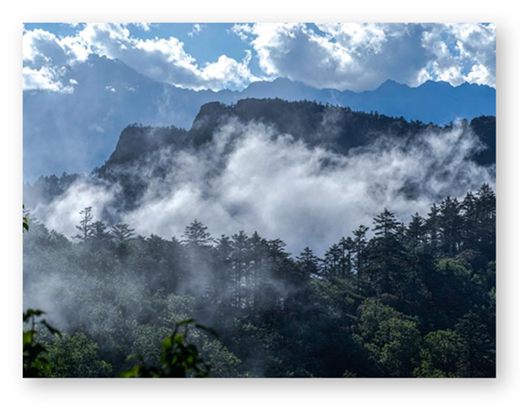 补硒能治新脑血管?。ㄑ匝懿〕陨兑?硒宝网