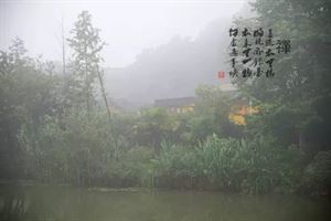 掉头发补硒好不好用（补硒对脱发有效果吗）-硒宝网