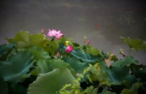 掉头发补硒好不好用（补硒对脱发有效果吗）-硒宝网