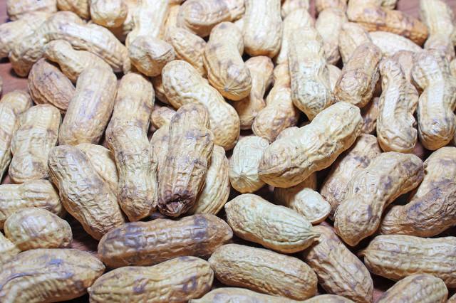 吃啥补硒推荐一下好(想补硒吃哪种硒好)-硒宝网