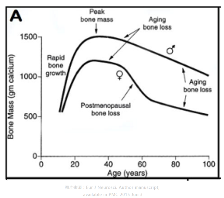 不喝牛奶怎么补钙(喝牛奶能补钙是真的假的)-硒宝网