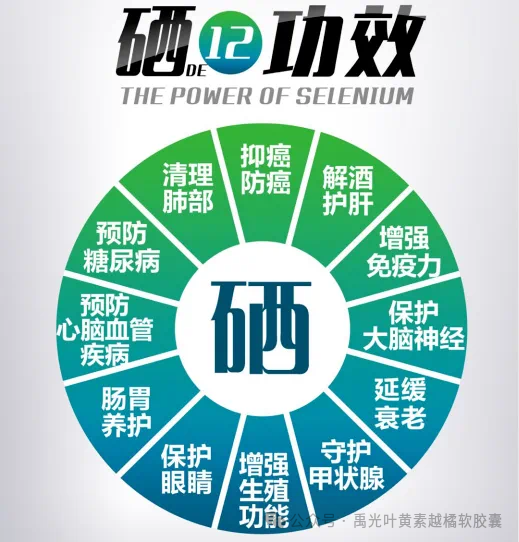 补硒第一品牌是哪个（补硒产品哪个品牌好）-硒宝网