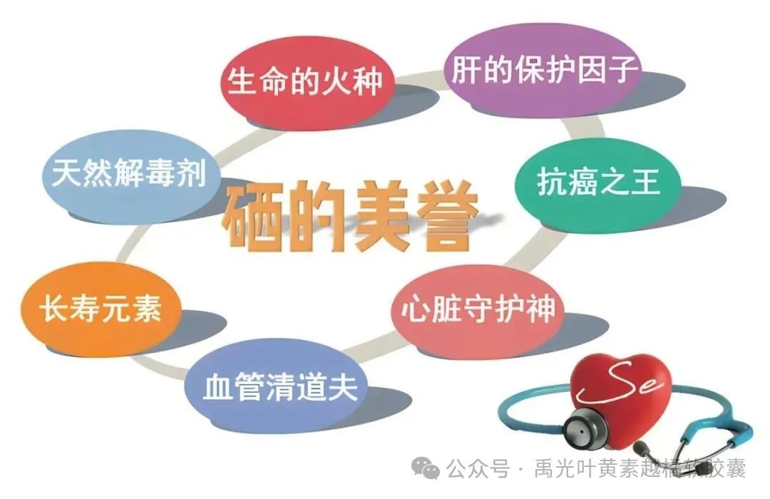 补硒第一品牌是哪个（补硒产品哪个品牌好）-硒宝网