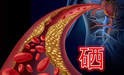 心脑血管病要补硒吗(硒心脑血管)-硒宝网