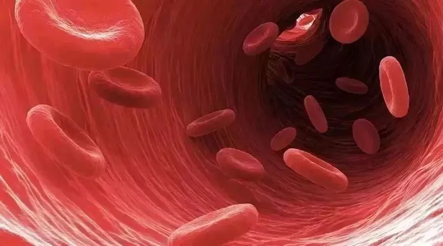 心脑血管病要补硒吗(硒心脑血管)-硒宝网