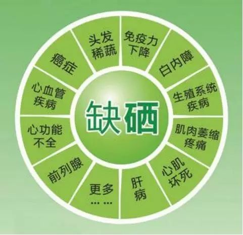 什么粥补硒好一点儿(富硒粥米煮稀饭还是干饭好)-硒宝网