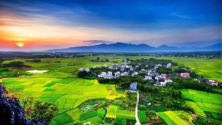 富硒产品 怎么分类(分类富硒产品的作用)-硒宝网