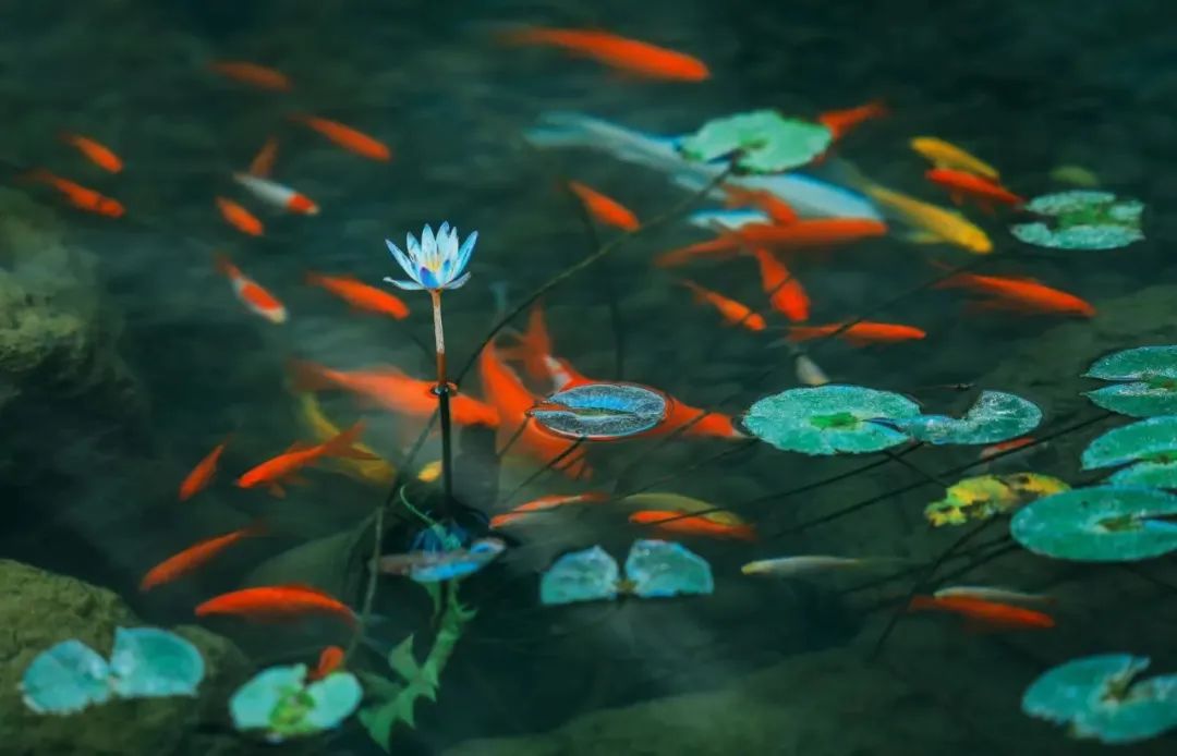 江西明月山富硒产品(明月山富硒科普馆)-硒宝网