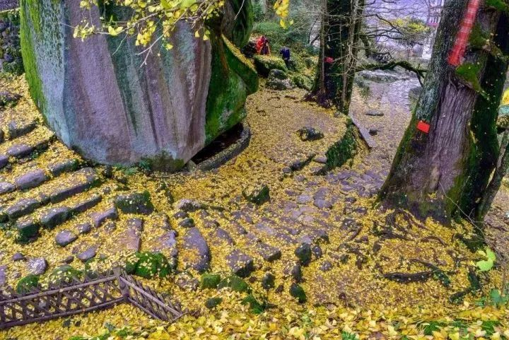 江西明月山富硒产品(明月山富硒科普馆)-硒宝网