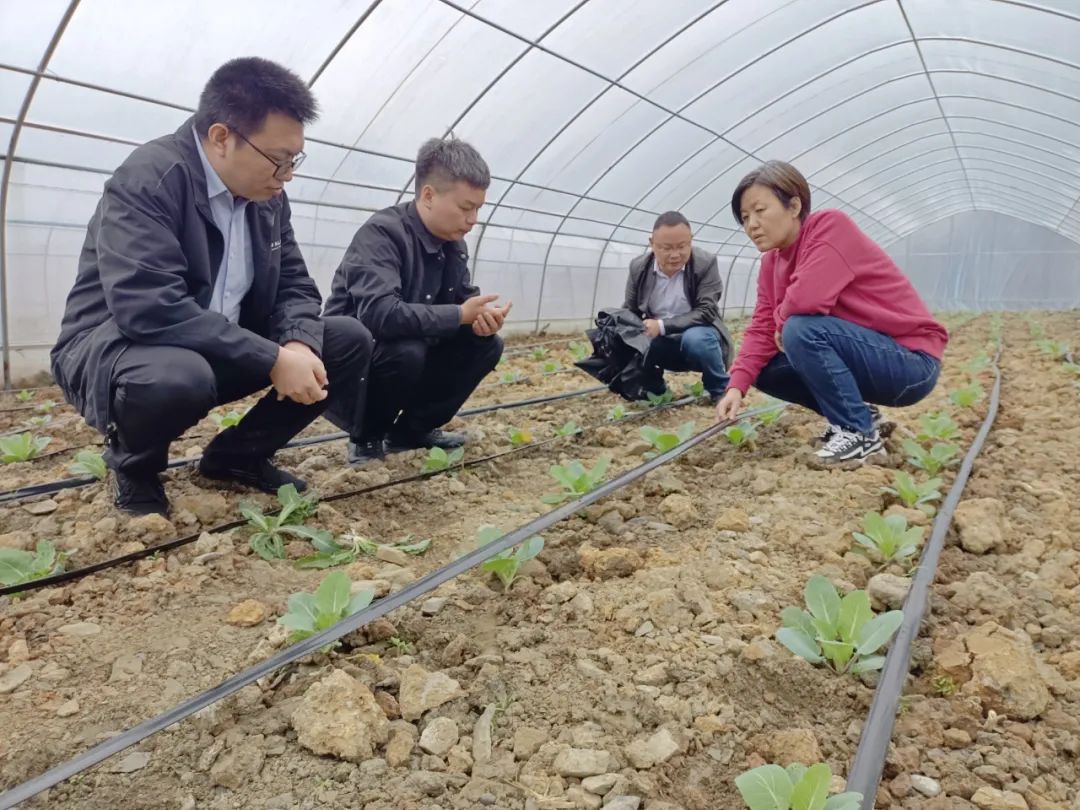 富硒产品的政治环境(打造富硒品牌)-硒宝网