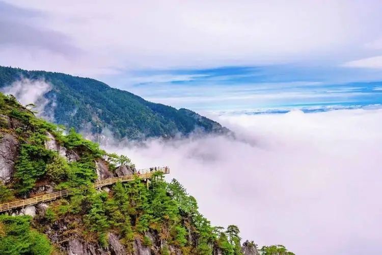 江西明月山富硒产品(明月山富硒水有什么优点)-硒宝网