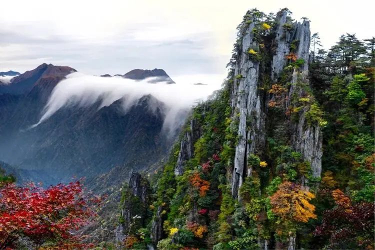 江西明月山富硒产品(明月山富硒水有什么优点)-硒宝网