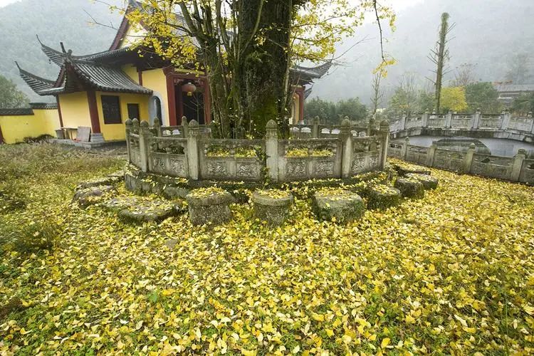 江西明月山富硒产品(明月山富硒水有什么优点)-硒宝网