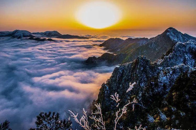 江西明月山富硒产品(明月山富硒水有什么优点)-硒宝网