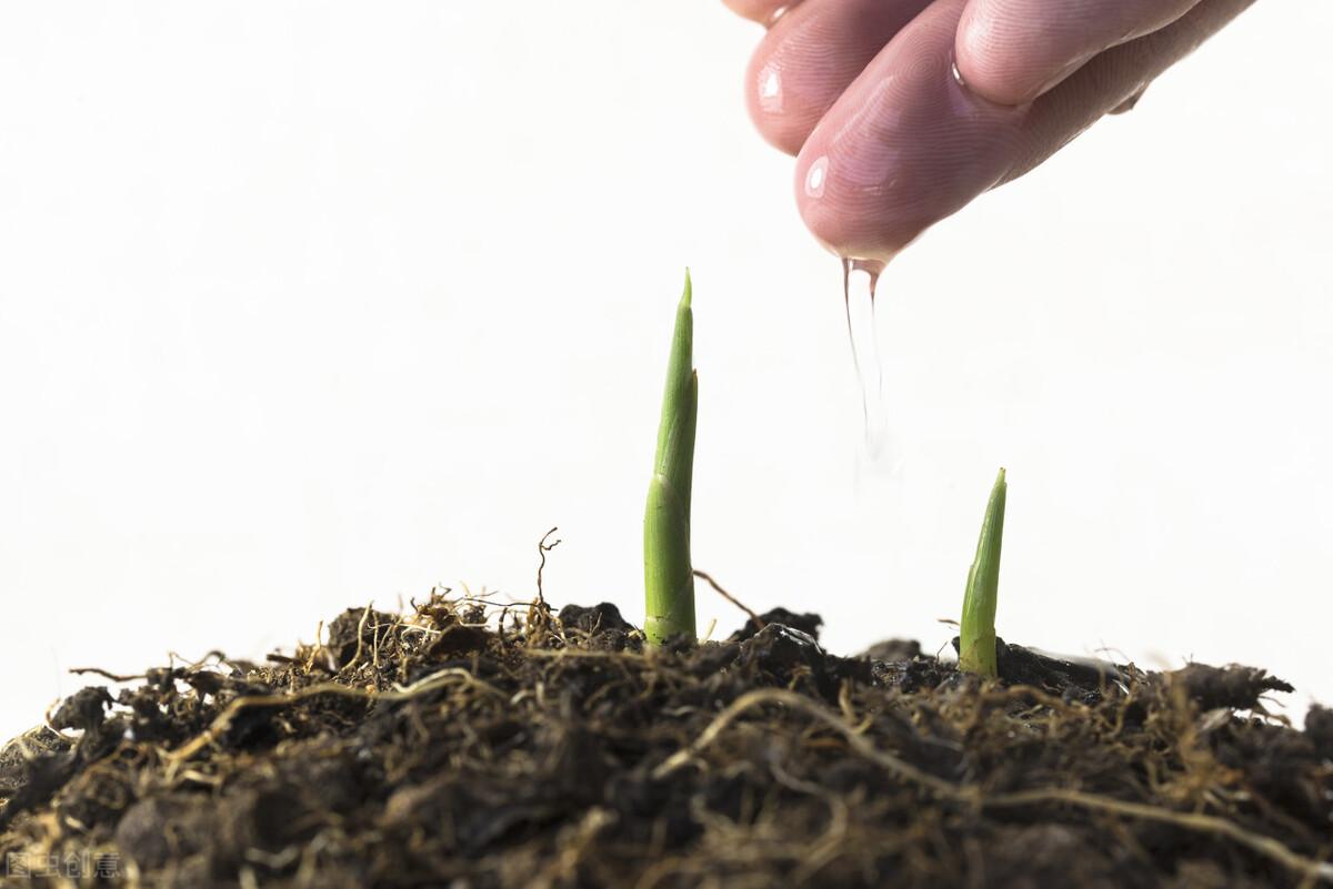 孩子不缺锌可以补锌吗(孩子缺锌能补回来吗)-硒宝网