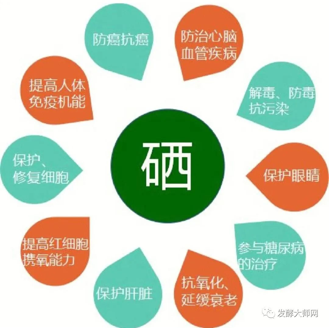 开发富硒产品的意义(意义开发富硒产品是什么)-硒宝网