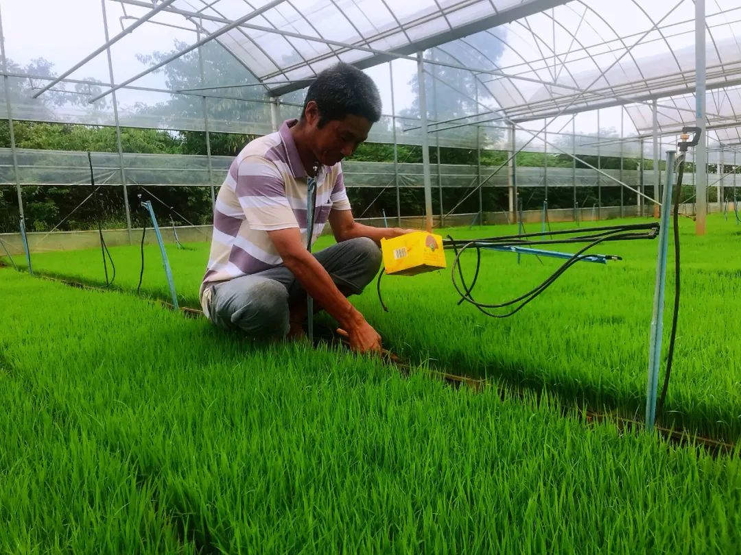 补硒第一品牌是哪个(硒片补硒哪个品牌最好价格多少)-硒宝网