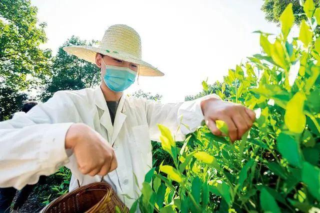 富硒产品的市场分析(富硒分析市场产品需求)-硒宝网