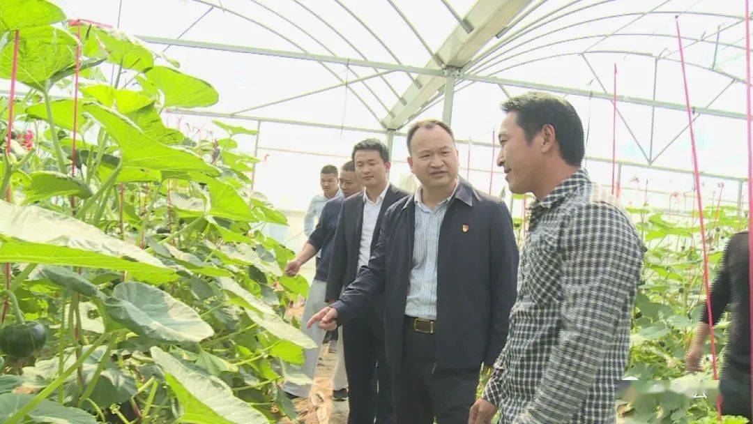 于都农产品富硒大米（江西富硒大米基地）-硒宝网