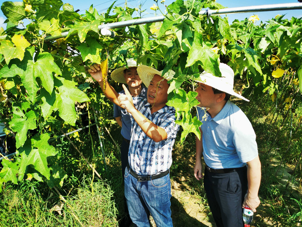 富硒农产品地理标志（富硒地理标志产地）-硒宝网