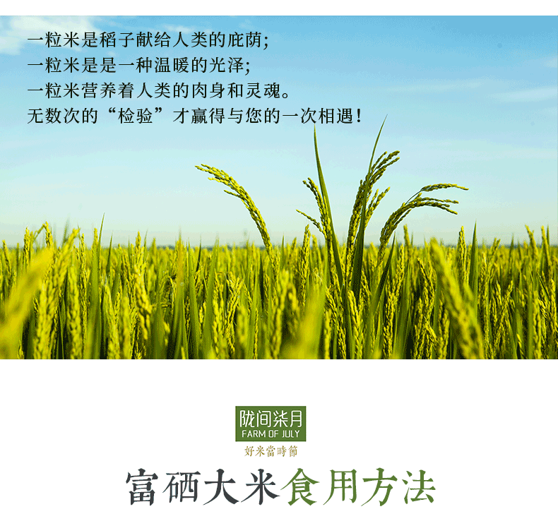 于都农产品富硒大米(江西富硒大米多少钱一斤)-硒宝网