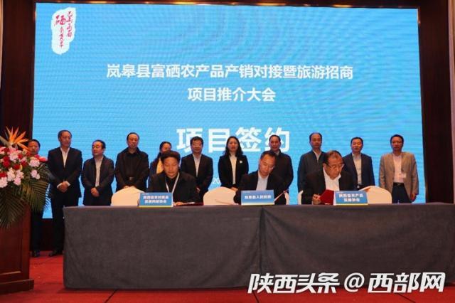 绿色富硒农产品项目(富硒农产品产业链)-硒宝网