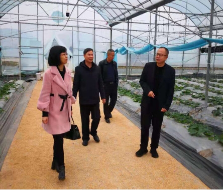 江西于都县富硒产品(江西于都富硒蔬菜基地)-硒宝网