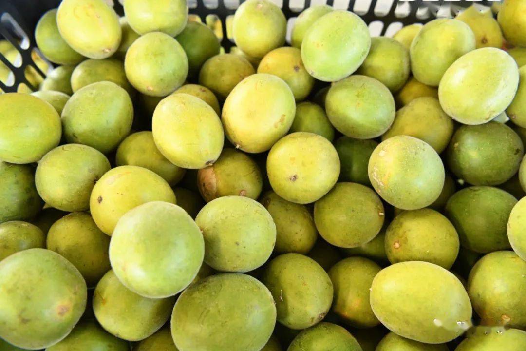 广西长寿富硒农产品（广西长寿村特产）-硒宝网