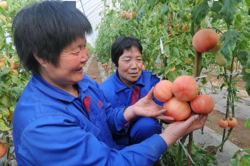 富硒农产品商标查询（富硒产品标识在哪里申请）-硒宝网