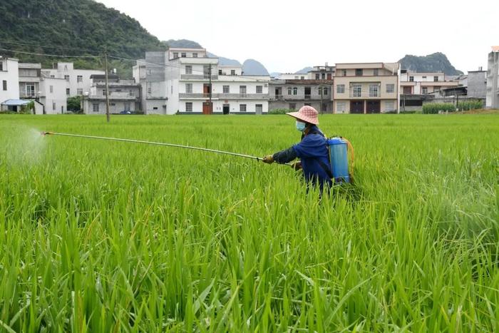 云南富硒农产品认证(云南富硒地区分布图)-硒宝网