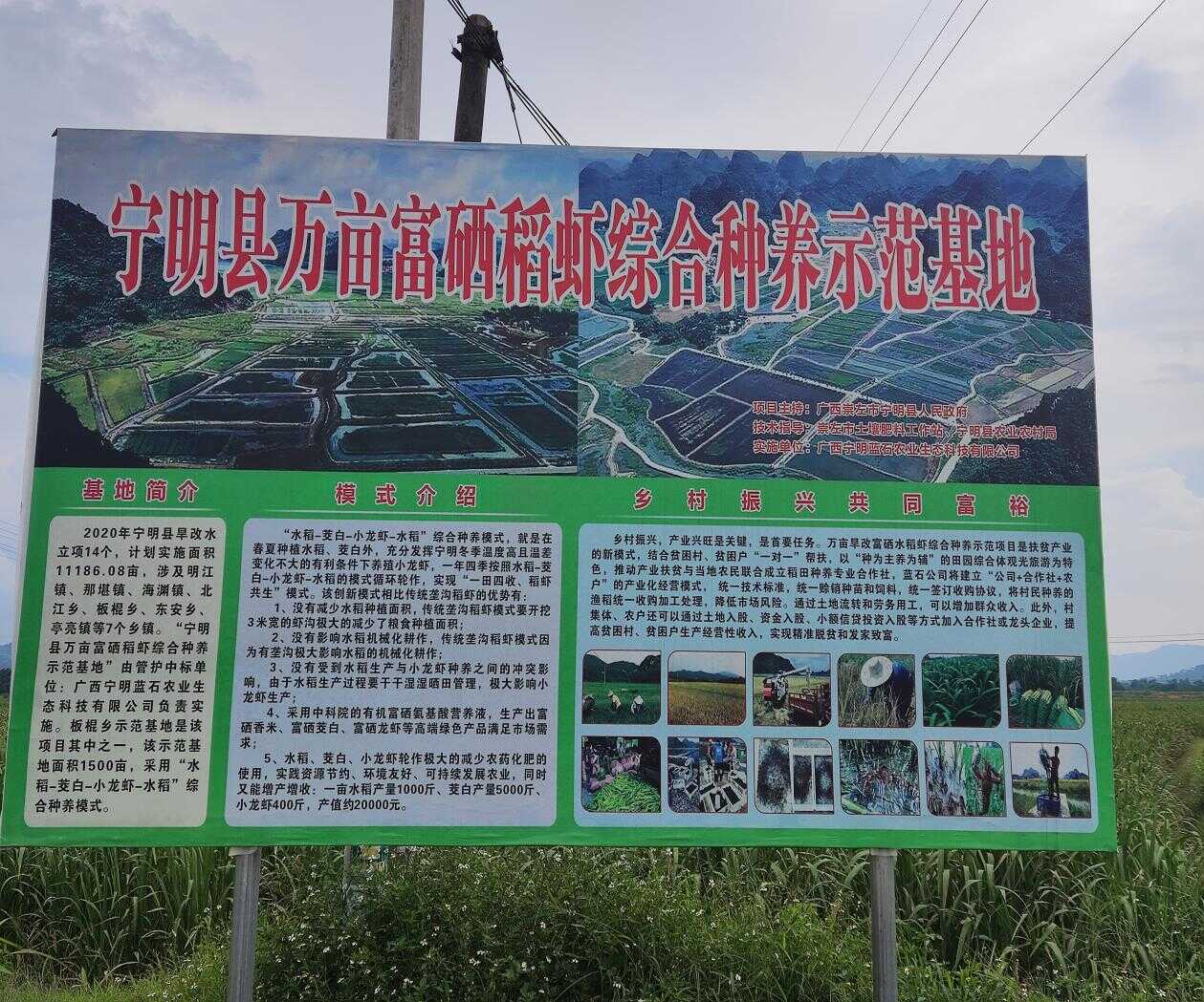 广西富硒农产品展销(广西富硒农产品协会)-硒宝网