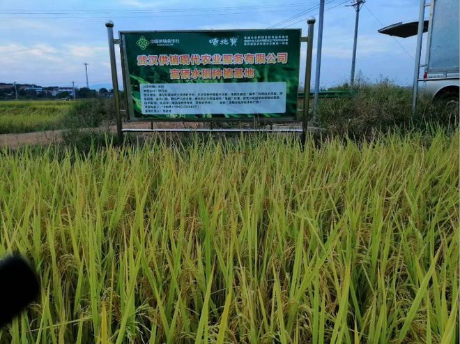 富硒农产品种植公司（富硒种植基地）-硒宝网