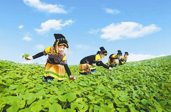 广西富硒农产品展销(广西富硒产品有哪些)-硒宝网