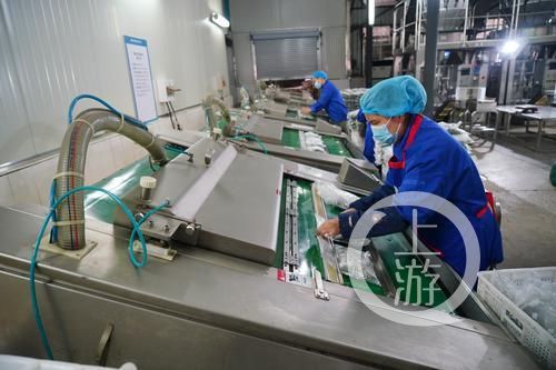 江津富硒农产品认证(江津富硒产品有哪些)-硒宝网