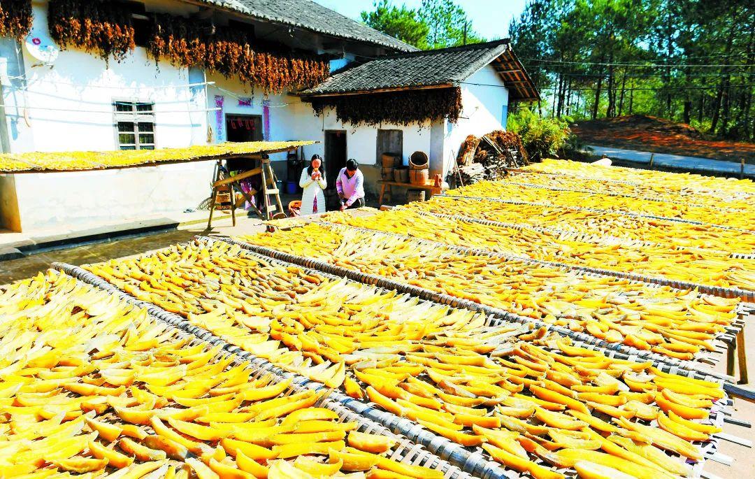 于都县富硒产品包装（于都富硒蔬菜产业园）-硒宝网