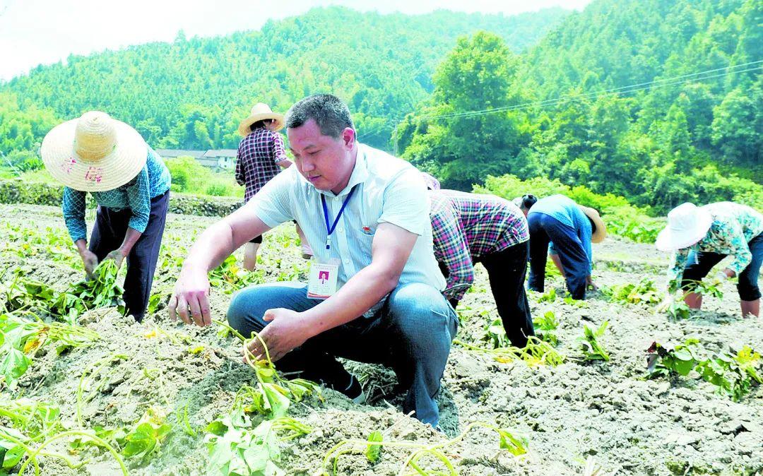 于都县富硒产品包装（于都富硒蔬菜产业园）-硒宝网