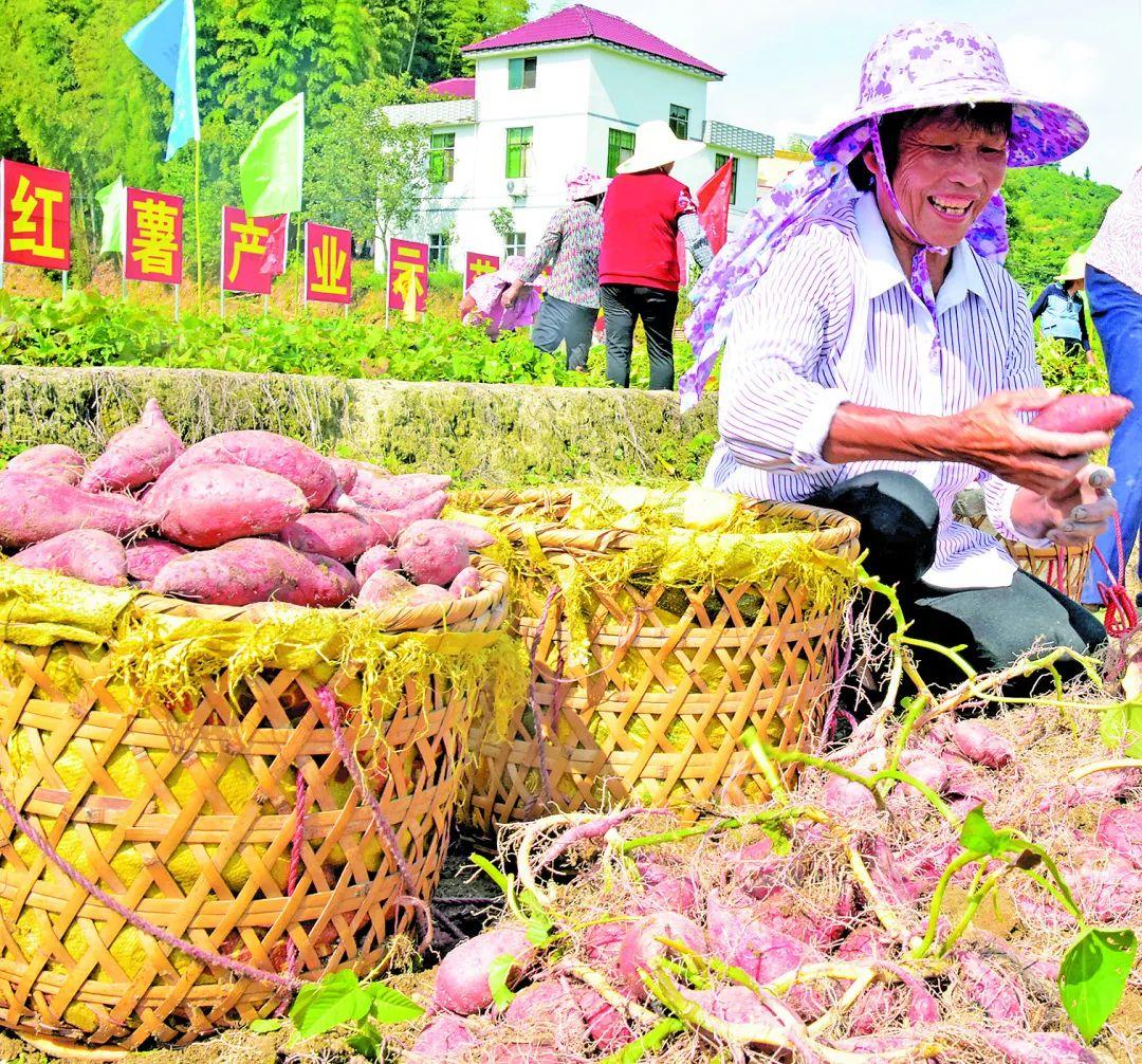 于都县富硒产品包装（于都富硒蔬菜产业园）-硒宝网