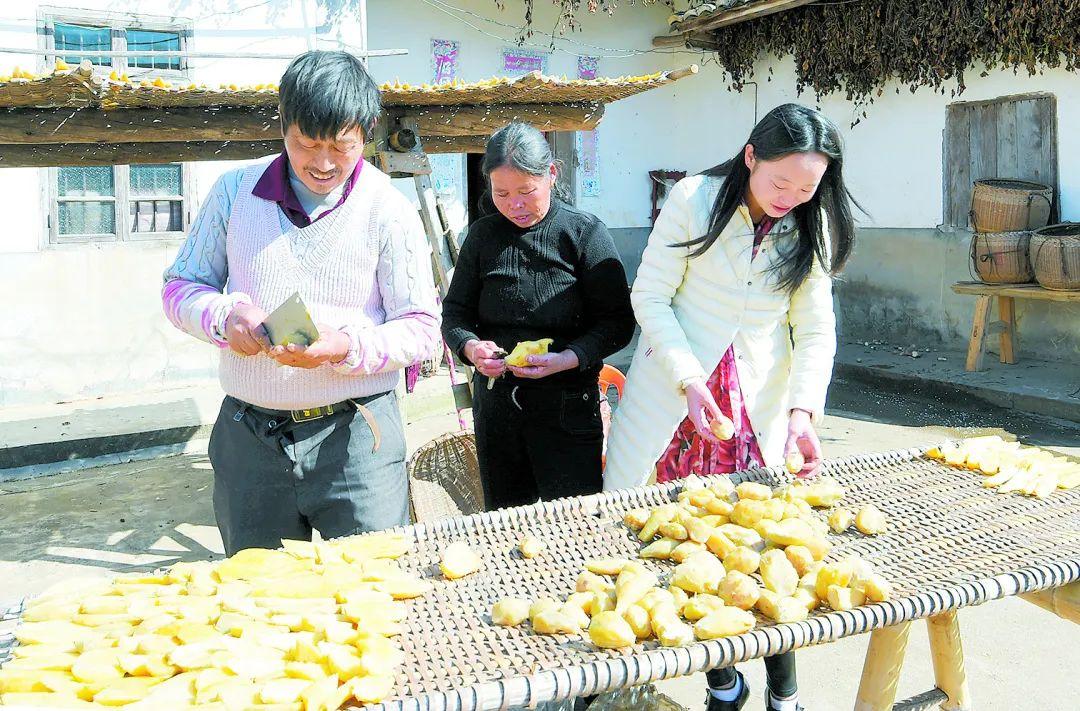 于都县富硒产品包装（于都富硒蔬菜产业园）-硒宝网