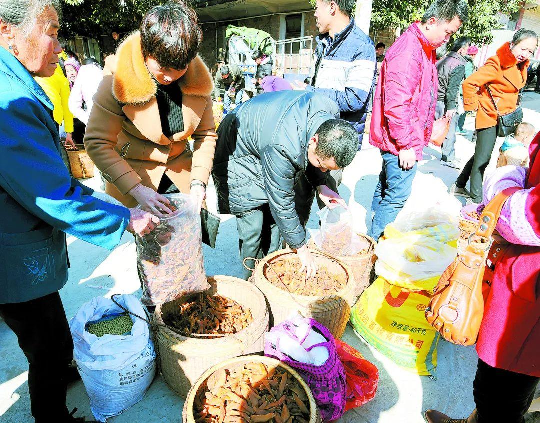 于都县富硒产品包装（于都富硒蔬菜产业园）-硒宝网