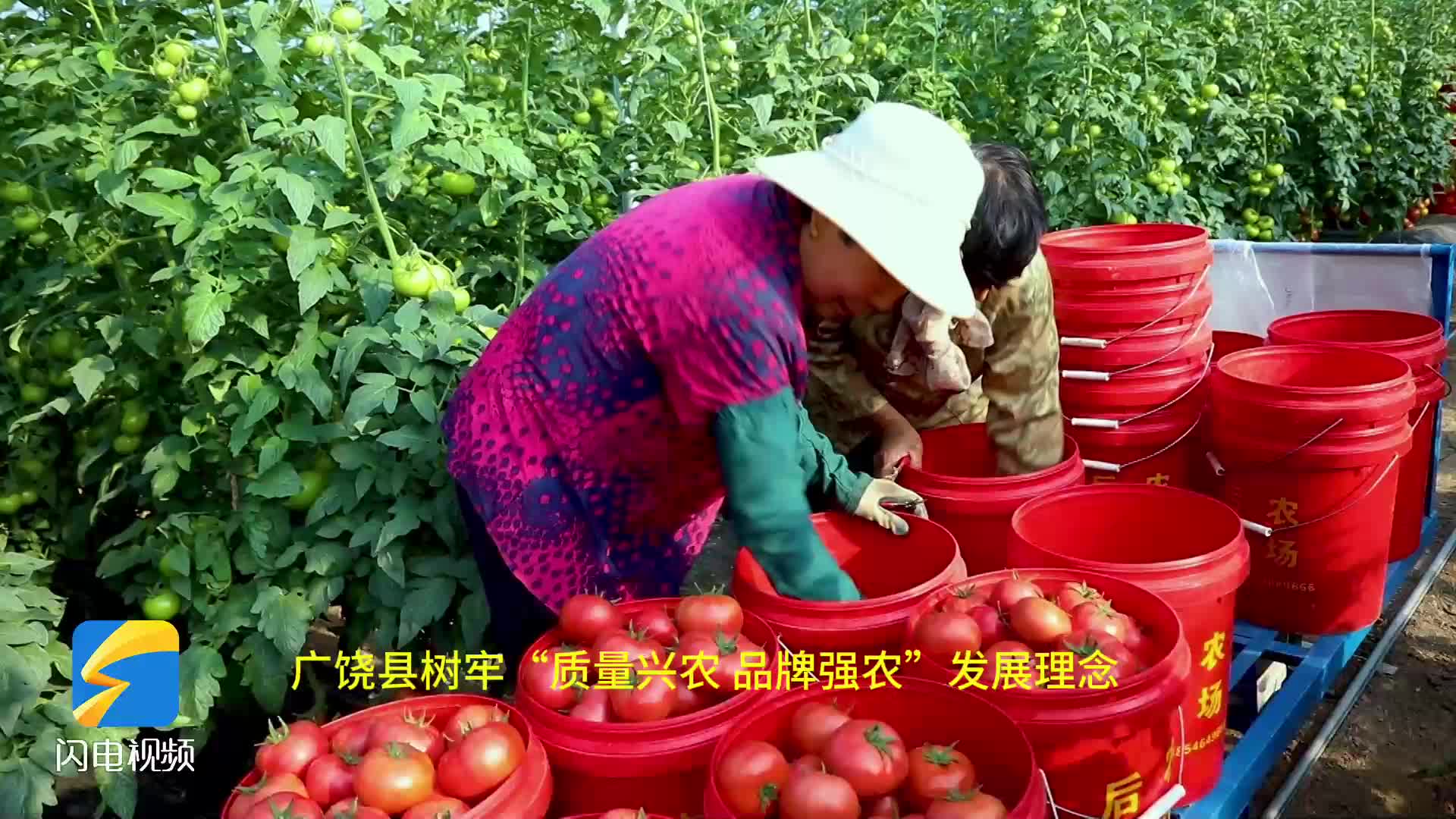 有机富硒农产品认证(富硒农产品认证过程)-硒宝网