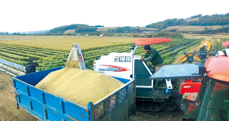 吉林富硒农产品认证(吉林富硒米多少钱一斤)-硒宝网