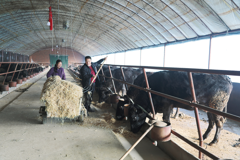 吉林富硒农产品认证(吉林富硒米多少钱一斤)-硒宝网