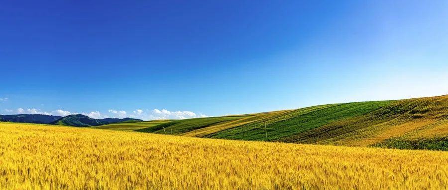 富硒农产品的吸引性(富硒农产品特点是什么)-硒宝网