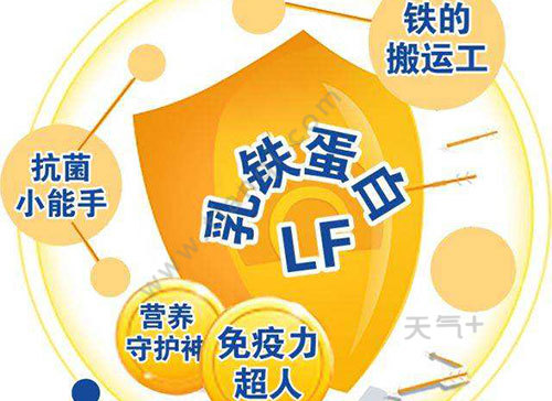 备孕需要补铁吗(备孕补铁)-硒宝网