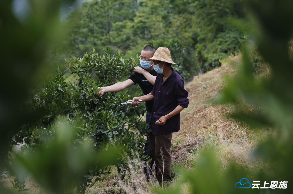 富硒农副产品好做吗（农副富硒好做产品吗）-硒宝网